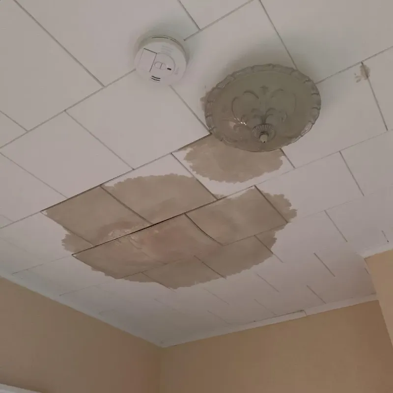 Ceiling Water Damage Repair in Temple, PA
