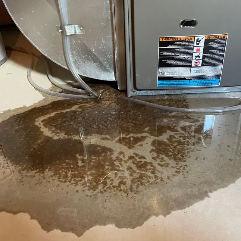 Pipe Burst and Leak Restoration in Temple, PA